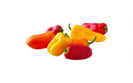Simply Fresh Fruity Pepper   Box  450 grams
